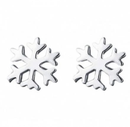 Oorbellen-Sneeuwvlok-Zilver- Charme Bijoux