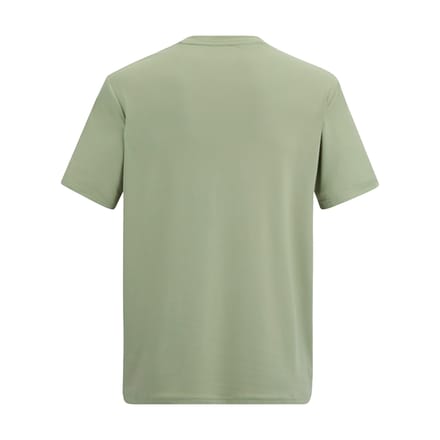 Regatta Heren Fingal Mountain T-Shirt (Lichte Salie)