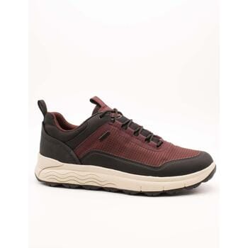 Lage Sneakers Geox U56FDA 0119J C7011