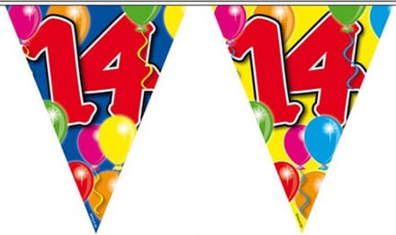 Vlaggenlijn 14 jaar - 10 meter - plastic - leeftijd versiering - vlaggetjes - slingers