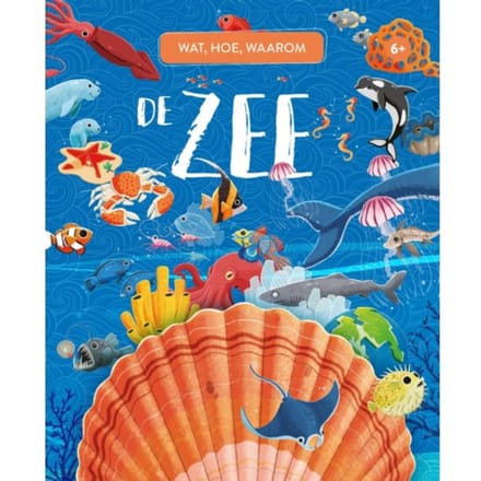 De Zee - Wat, Hoe, Waarom - Giuali Pesavento