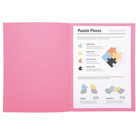Exacompta SUPER 160 - Pak van 100 dossiermappen 160g/m2- 24x32 cm voor A4. - Roze - 340003E