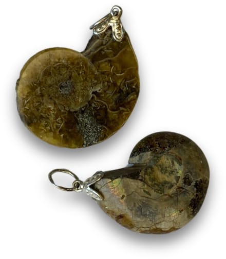 Ammoniet edelsteen hanger