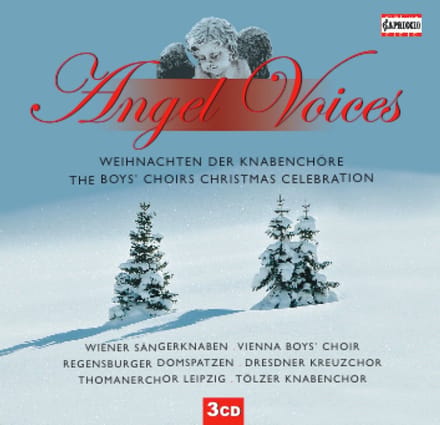 Various Artists - Angel Voices (Weihnachten Der Knabenchöre) (3 CD)