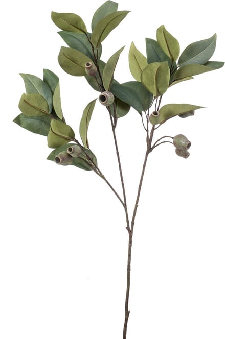 Emerald - Kunsttak Eucalyptus met vruchten 80cm groen - Kunstplant voor binnen