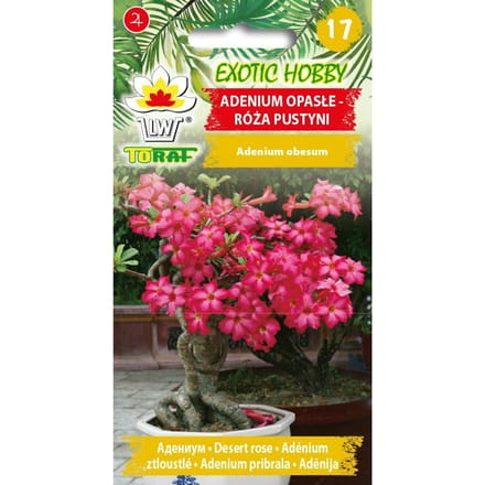 Adenium Lethargische Woestijnroos 5 st. boom zaden