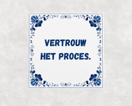 Spreuk tegel 15x15 cm Vertrouw het proces ()