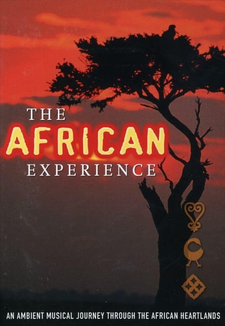 African Experience