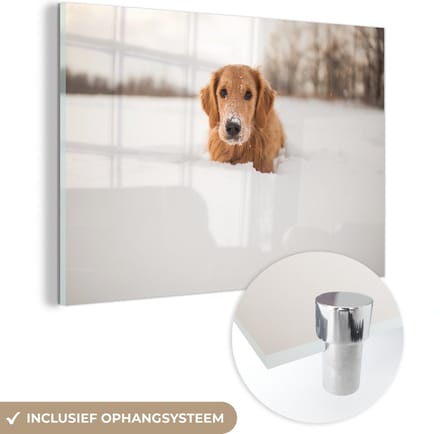 MuchoWow® Glasschilderij 60x40 cm - Schilderij acrylglas - Hond - Sneeuw - Winter - Foto op glas - Schilderijen