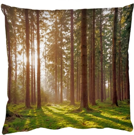 Sierkussens - Kussentjes Woonkamer - 50x50 cm - Bos - Gras - Zonlicht