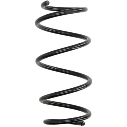 Chassisveer MAGNUM TECHNOLOGY SW177