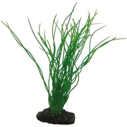 Aquarium decoratie Hobby Sagittaria