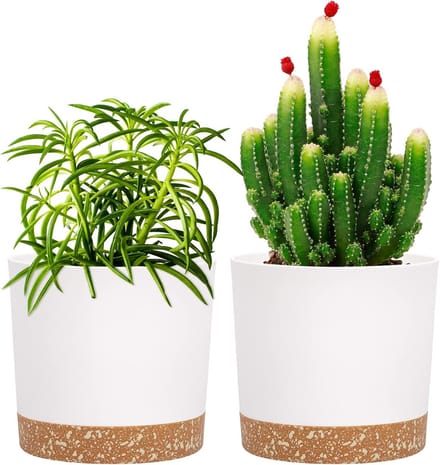 Famanu - Set van 2 moderne plantenpotten 12,7 cm met drainage wit