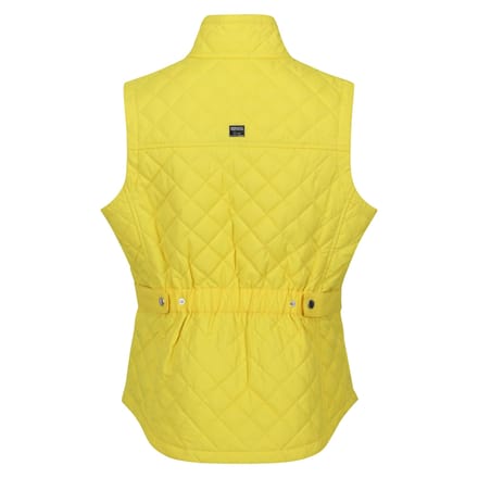 Regatta Dames/Dames Carmine Gilet (Maïs Geel)