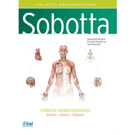 Sobotta - Collectie Anatomieposters