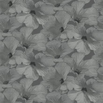Annuell Hibiscus grijs 11003