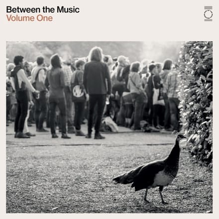 Various Artists - End Of The Road Presents: Between The Music (2 LP)