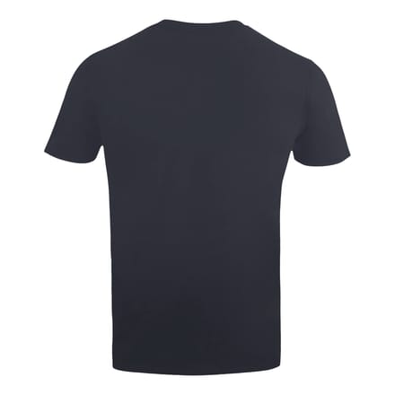 Star Wars Heren Chewbacca Tekst T-Shirt (Houtskool)