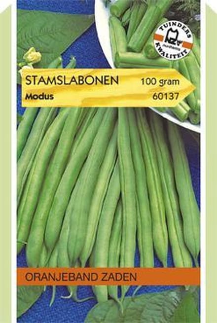 Stamslabonen Maja, 100 gram