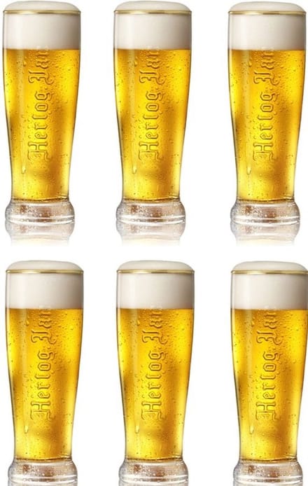 Hertog Jan Glas 35cl Embossed met Gouden Rand. 6 Stuks