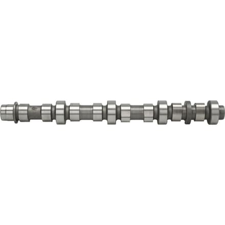 Nokkenas  AE CAM948