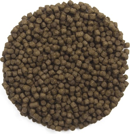 Ubbink - HEIKO KOI - visvoer - Energy Menu 3L - 3mm - uitgebalanceerd - drijvend
