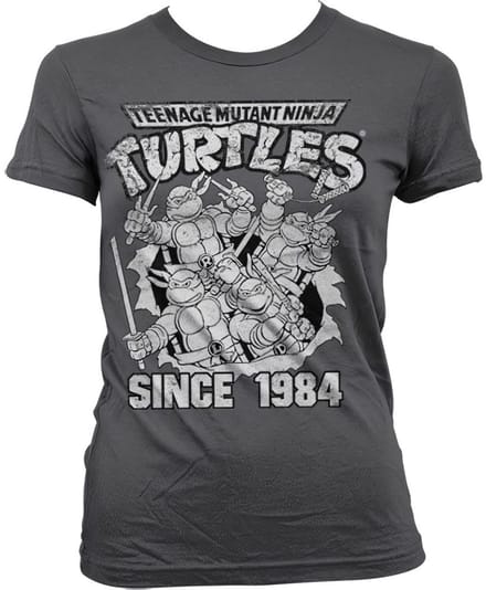 Teenage Mutant Ninja Turtles Dames Tshirt -M- Distressed Since 1984 Grijs