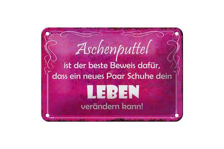 Blechschild Spruch 18x12cm Aschenputtel Schuhe ändern Leben