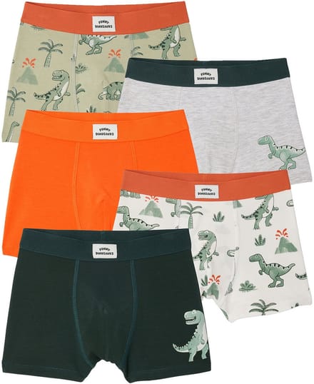 Vertbaudet Set van 5 boxershorts dino
