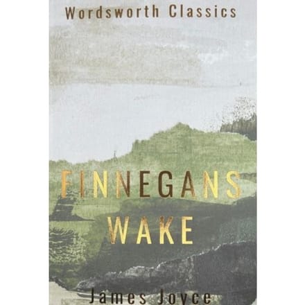 Finnegans Wake door James Joyce Paperback Boek 9781840226614