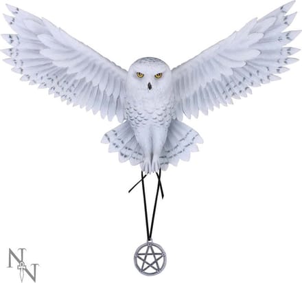 Nemesis Now Muurdecoratie Awaken your Magic Multicolours