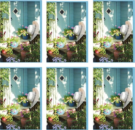MGPcards - 6x dubbele wenskaart met envelop - Blanco - Bloemen - 11,5 x 17 cm