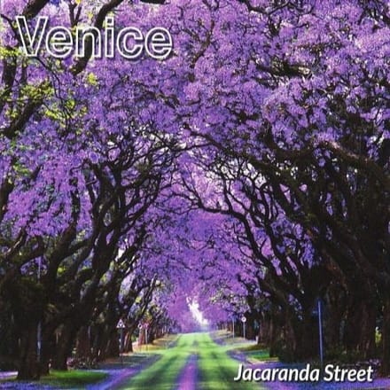 Venice - Jacaranda Street (CD)