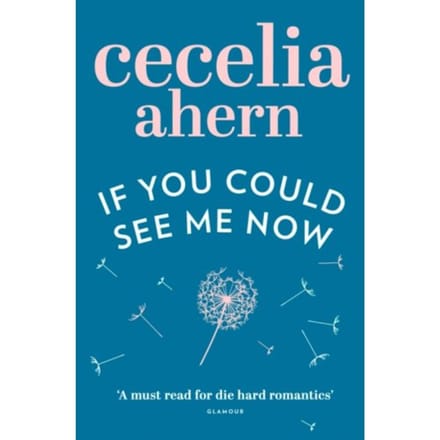 If You Could See Me Now - Cecelia Ahern