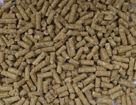 Fakkert Biologisch (vlees) varkensbrok 20KG