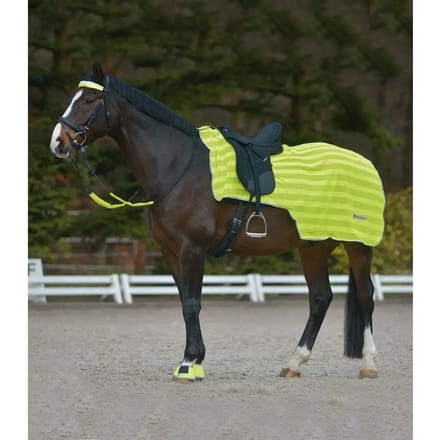 Paardendekens Waldhausen Reflex