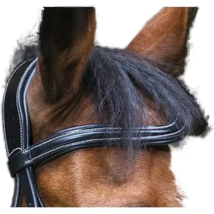 Hoofdstellen voor paarden Eric Thomas PRO "Wave"