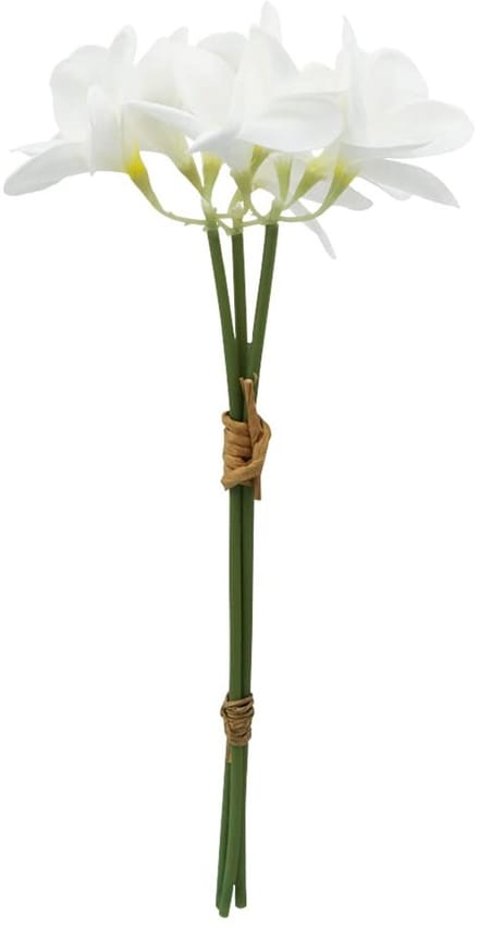 Dailygoods- Lei Kunstbloem - 9 Stuks - Latex - Frangipani - Bruiloft - Aloha - Zomerfeest - Bloemengirlande