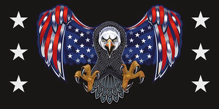 Signs-USA - Souvenir Kentekenplaat - metaal - American Eagle - 15 x 30 cm