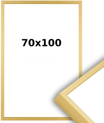 Aluminium Wissellijst 70 x 100 Mat Champagne Goud - Ontspiegeld Acrylite - Professional