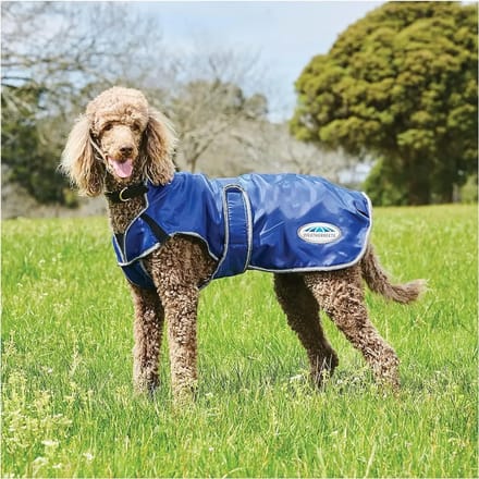 Hondenjas Weatherbeeta ComFiTec Windbreaker Free Deluxe