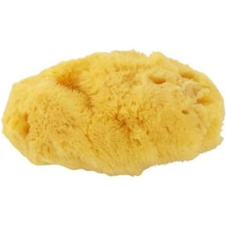 Chacott - Natural Sea Sponge 1 pc
