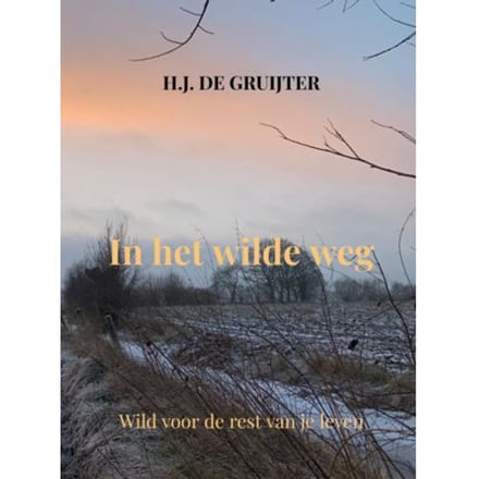 In Het Wilde Weg - H.J. de Gruijter