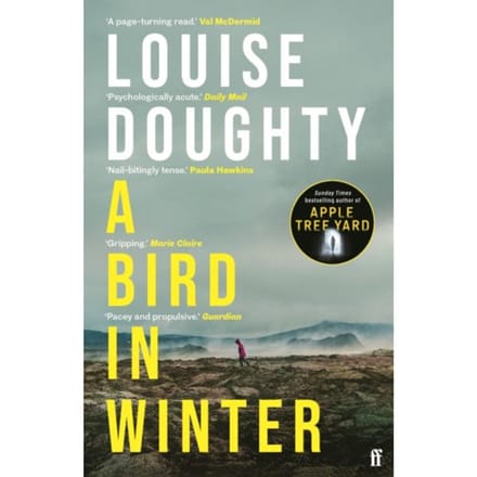 A Bird In Winter - Louise Doughty