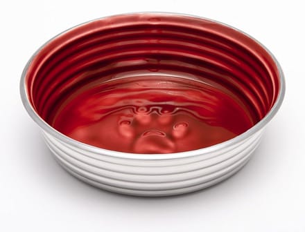 Antislip RVS Hondenbak met Geglazuurde Binnenkant - Vaatwasmachinebestendig - Bordeaux Rood