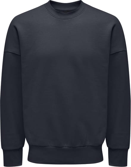 ONLY&SONS - ONSDAN LIFE RLX HEAVY SWEAT CREW - Heren - Sweaters
