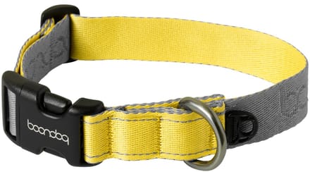 Boondog - Original Collar - Gray/Lemon - M
