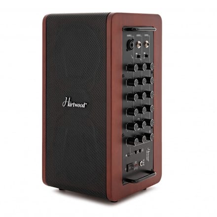 Hartwood Draagbare 60W Akoestische Versterker met Bluetooth