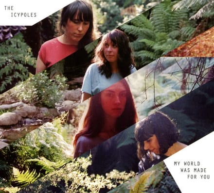 The Icypoles - My World Was Made For You (CD)