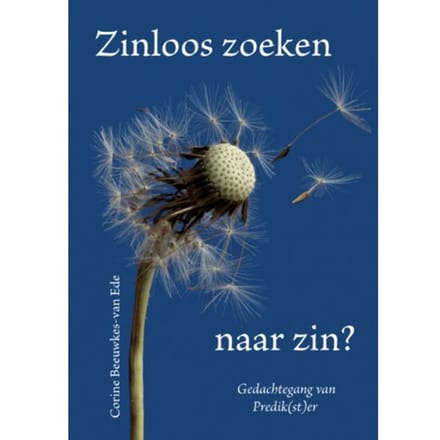 Zinloos Zoeken Naar Zin? - Corine Beeuwkes-van Ede